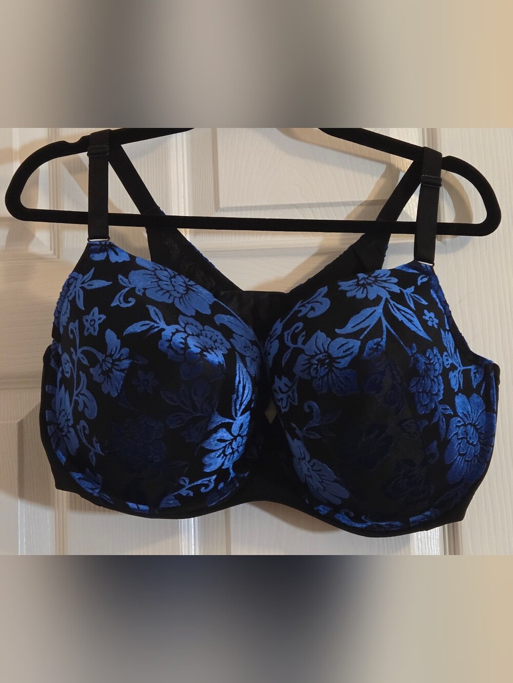 torrid Black Bra with Vibrant Blue Floral Jacquard
